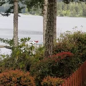 Meet your Posher, Arlene